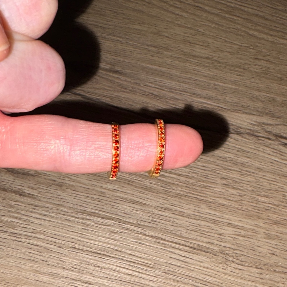 Elegant Gold and Garnet Titanium Hoop Earrings